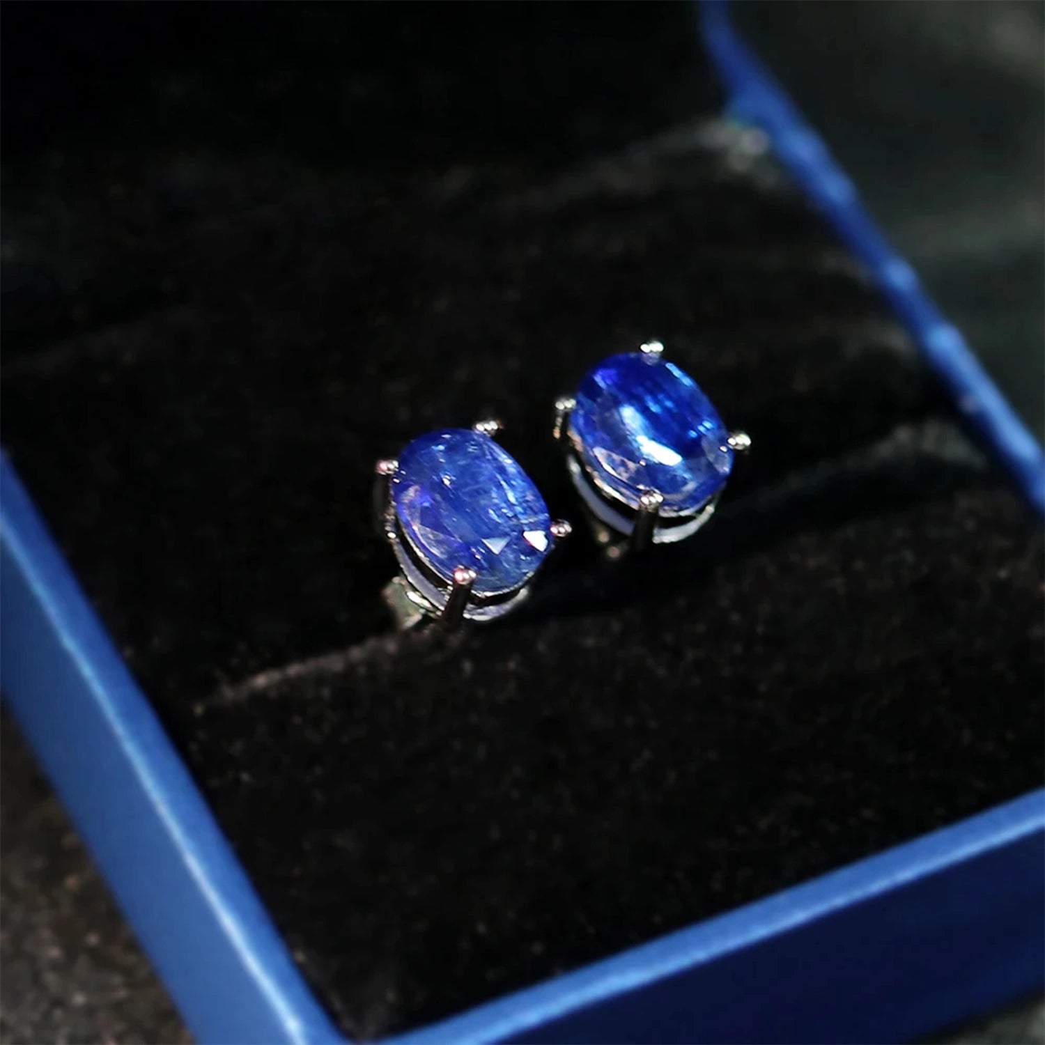 Kyanite Oval Stud Earrings
